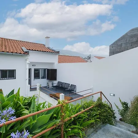 Gorila - Coastal * Porto Formoso