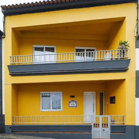 Gorila - Coastal *
